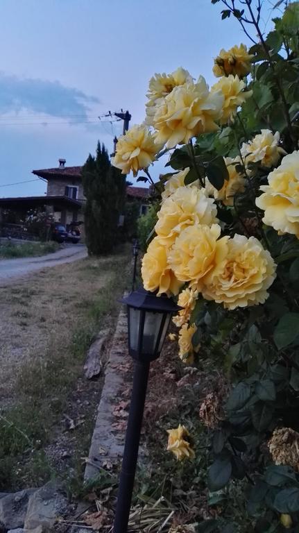 منزل الضيف Cossano Belbo  في Agriturismo Tenuta San Giuseppe المظهر الخارجي الصورة