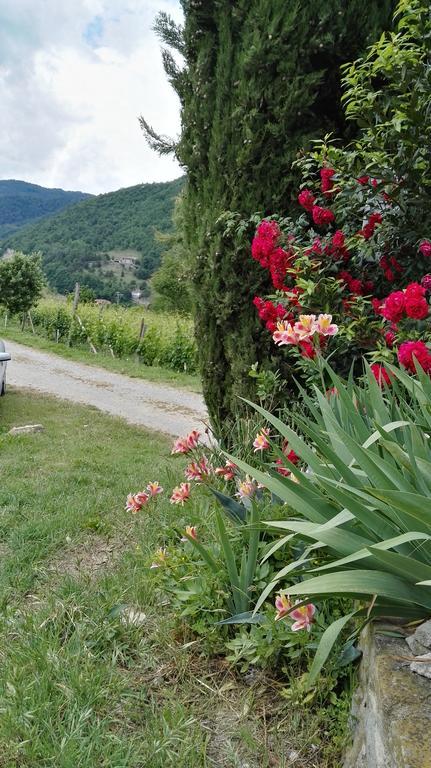 منزل الضيف Cossano Belbo  في Agriturismo Tenuta San Giuseppe المظهر الخارجي الصورة