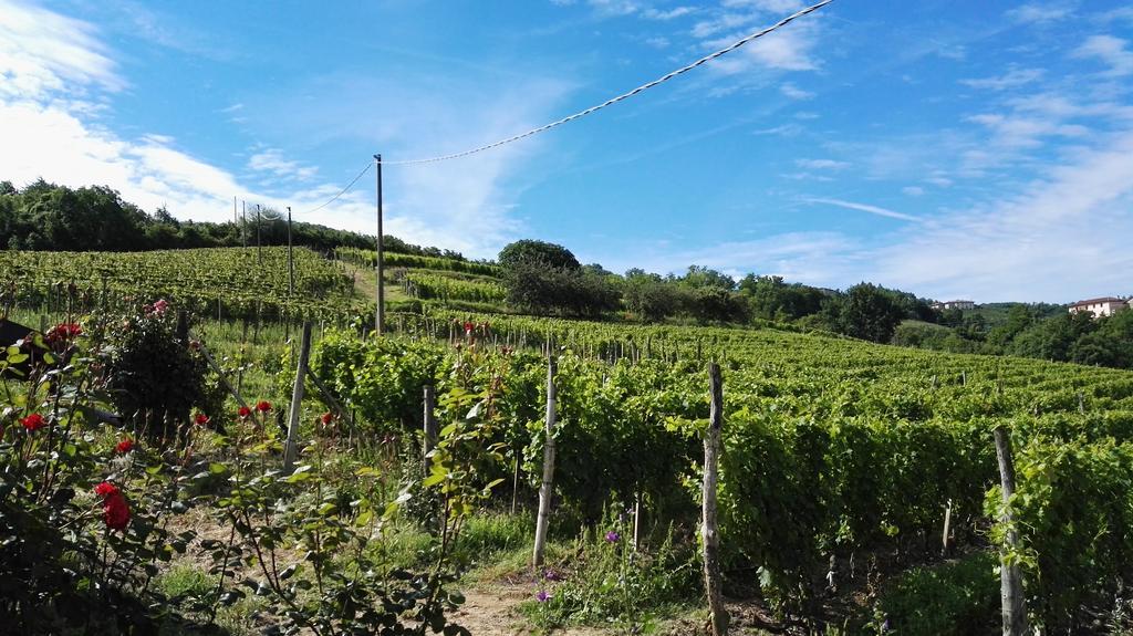 منزل الضيف Cossano Belbo  في Agriturismo Tenuta San Giuseppe المظهر الخارجي الصورة