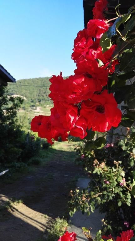 منزل الضيف Cossano Belbo  في Agriturismo Tenuta San Giuseppe المظهر الخارجي الصورة